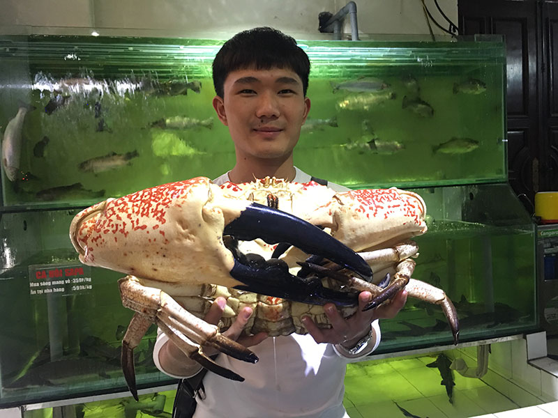 Chiêm ngưỡng và thưởng thức loại Cua TASMANIA lớn nhất và đắt nhất thế giới Chiêm ngưỡng và thưởng thức loại Cua TASMANIA lớn nhất và đắt nhất thế giới